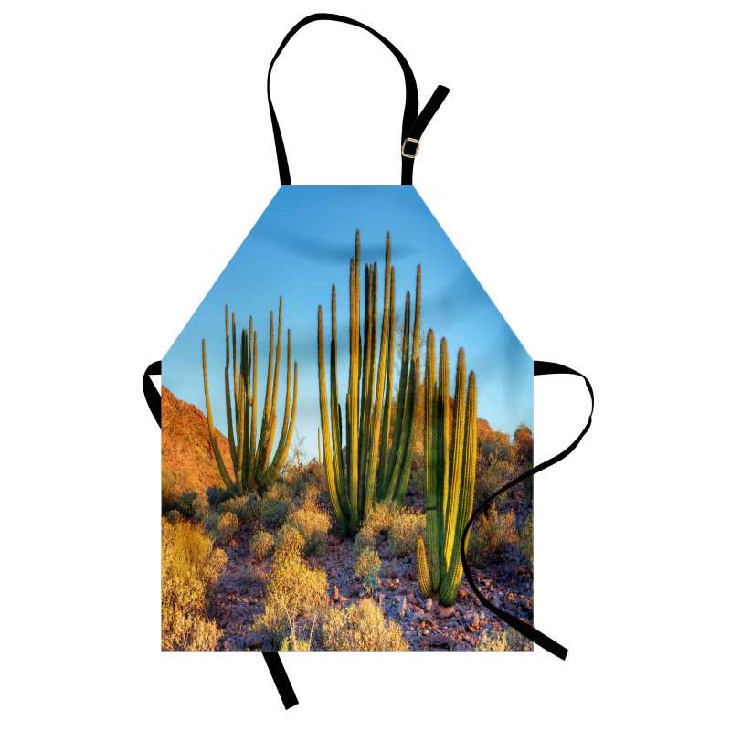 Mountain Cactus Photo Apron