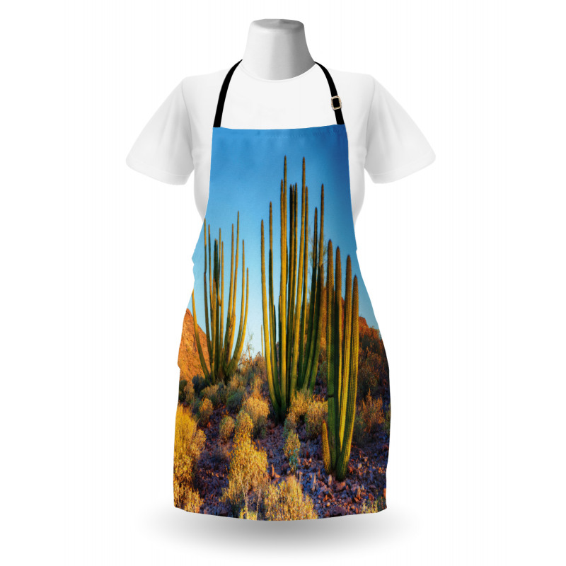 Mountain Cactus Photo Apron