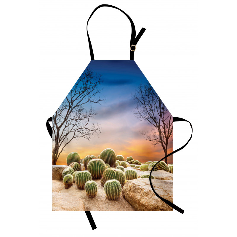 Cactus Balls on Mountain Apron