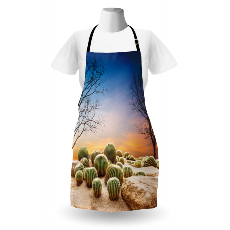 Cactus Balls on Mountain Apron