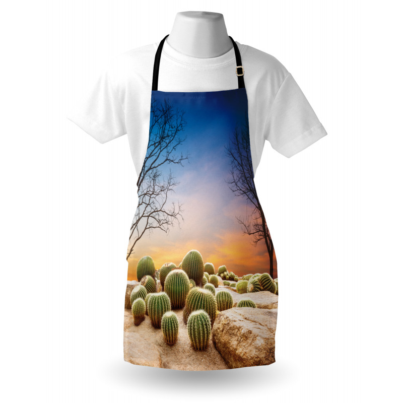 Cactus Balls on Mountain Apron