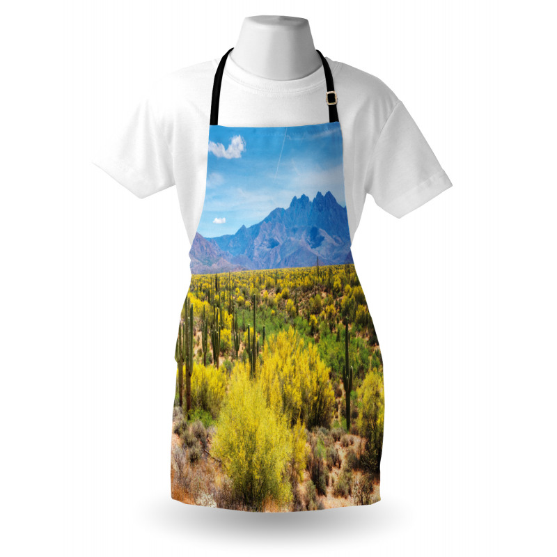 Landscape of Desert Apron