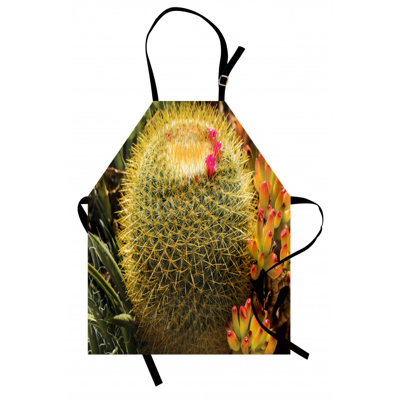 Cactus Plant with Spikes Apron