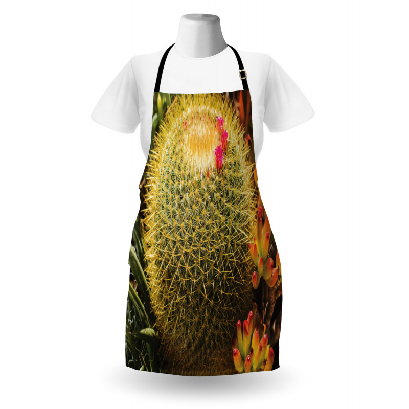 Cactus Plant with Spikes Apron