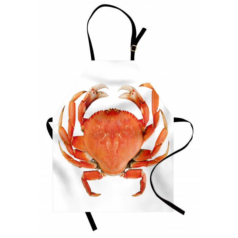 Cooked Dungeness Crab Apron