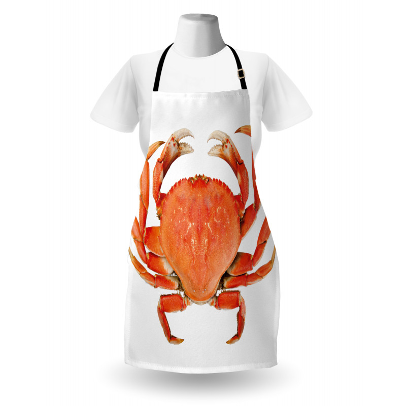 Cooked Dungeness Crab Apron