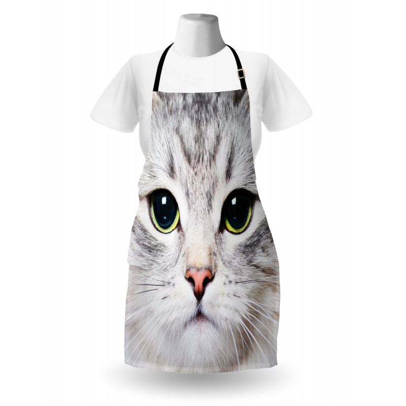 Face of a Domestic Kitty Apron