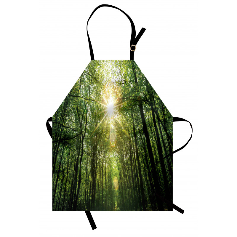 Summer Trees Upward View Apron