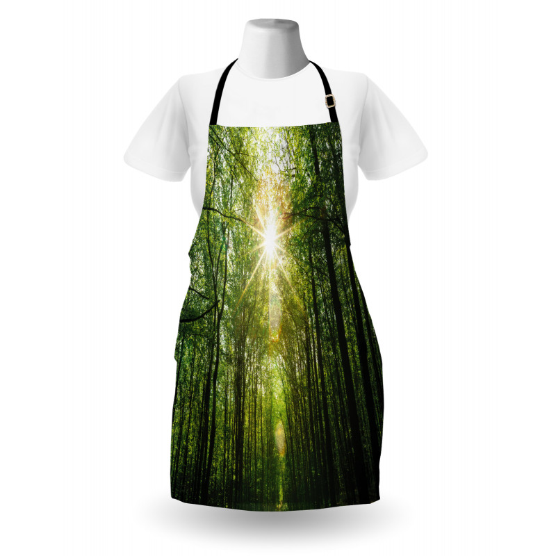 Summer Trees Upward View Apron