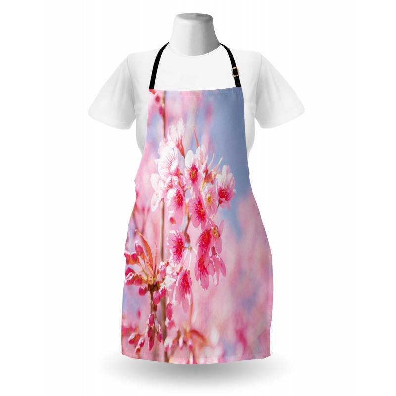 Sakura Blossom Branches Apron