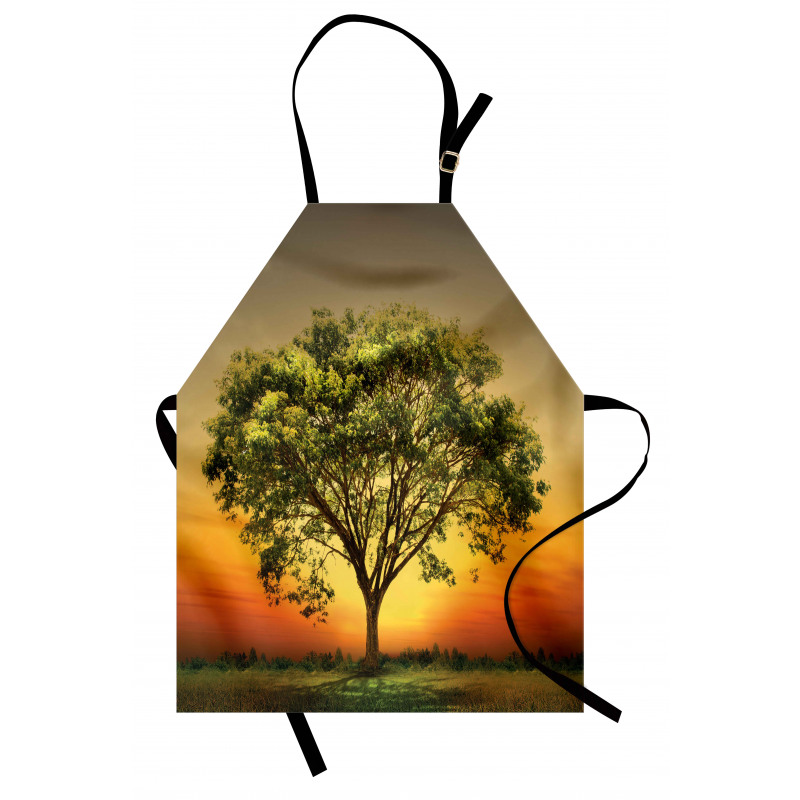 Sunset Scenery Valley Apron