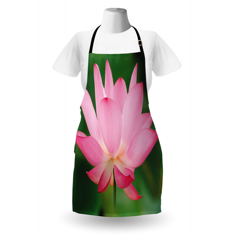Lotus Lily Blossom Apron
