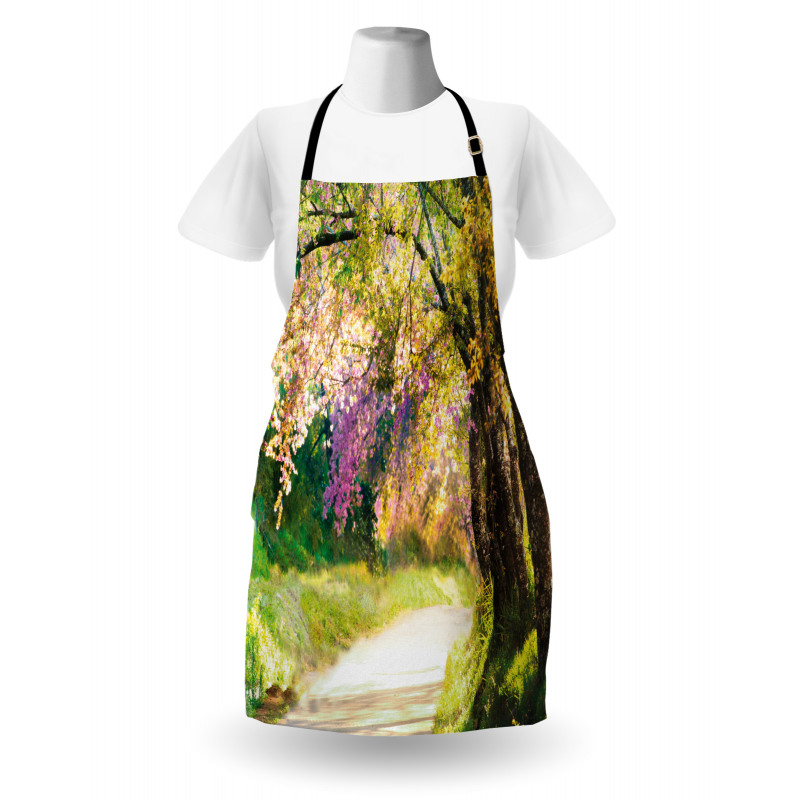 Spring Park Walkway Apron