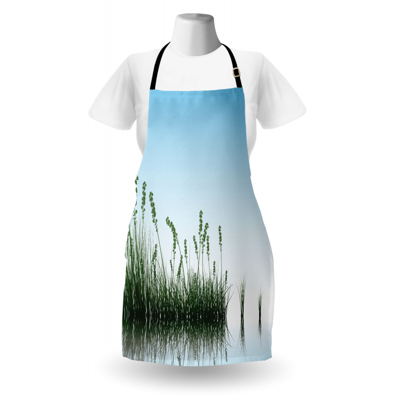 Scenery Lake Bushes Apron