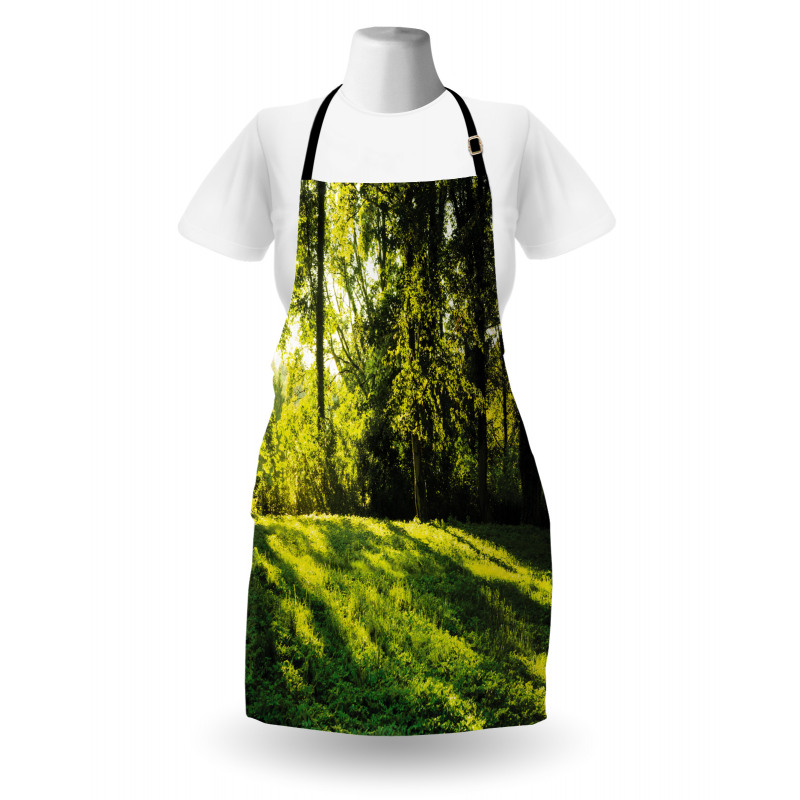 Rising Sun Beams Forest Apron