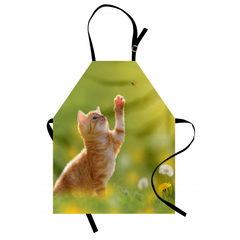 Ladybug Cats Dandelions Apron