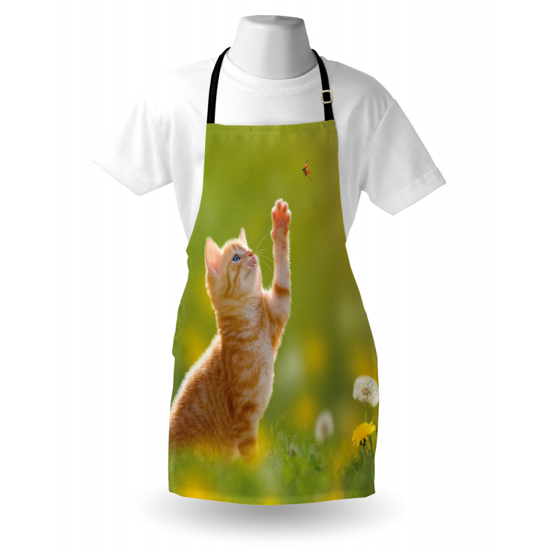 Ladybug Cats Dandelions Apron