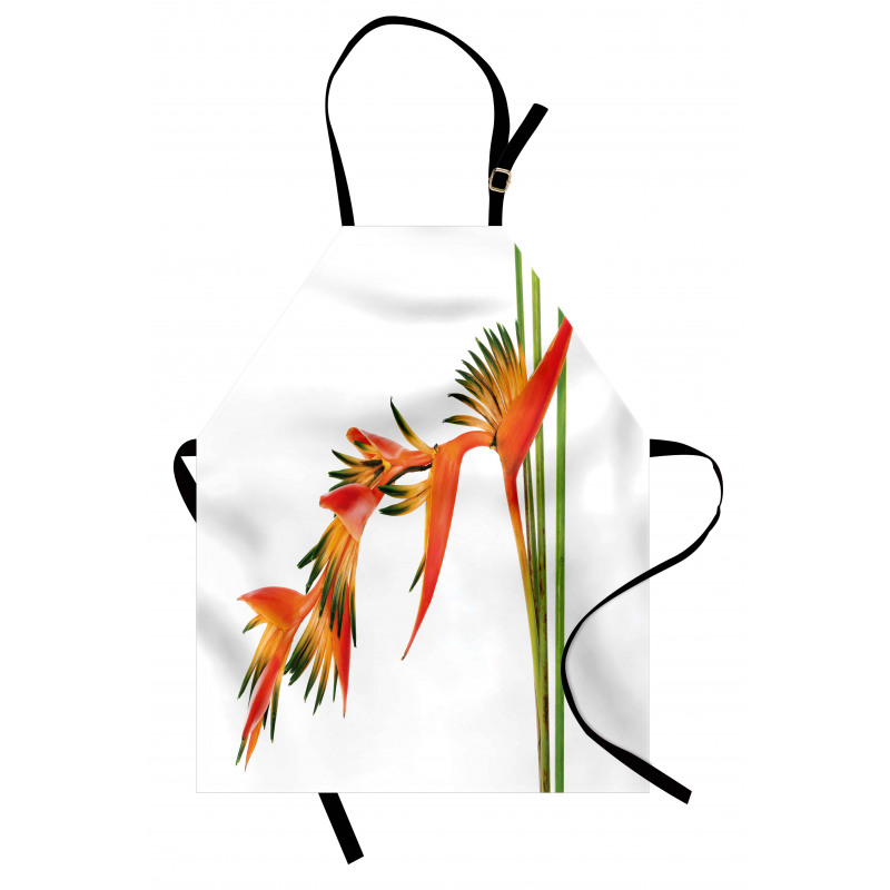 Exotic Flower Branch Apron