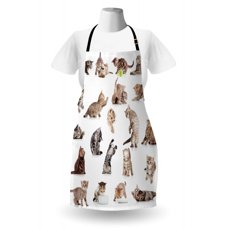 Funny Playful Cats Image Apron