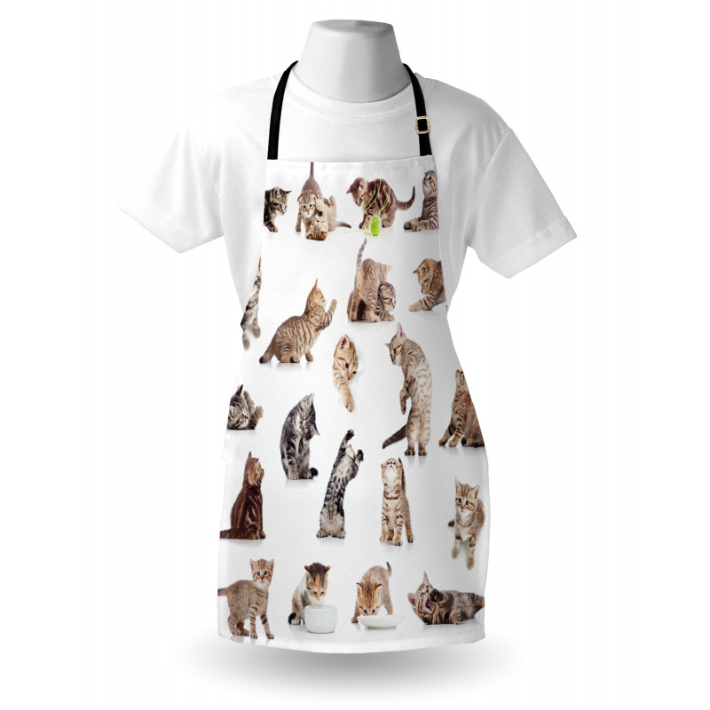 Funny Playful Cats Image Apron