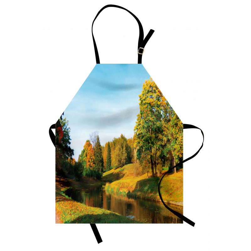 Natural Forest Park Apron