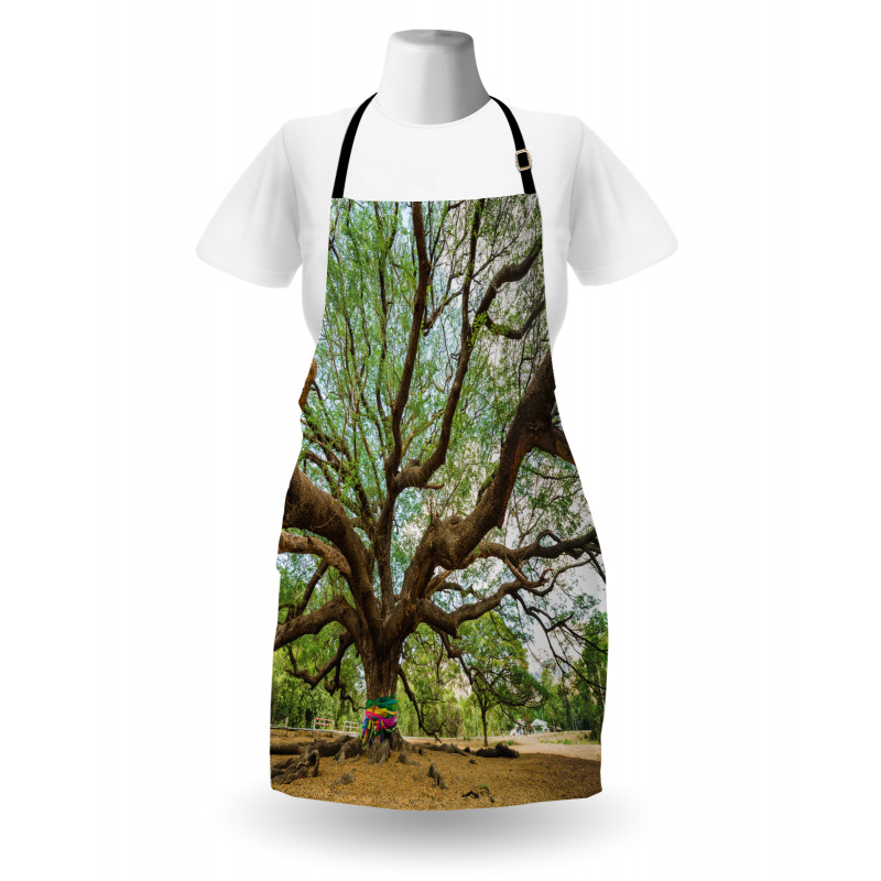 Big Rain Tree Thailand Apron