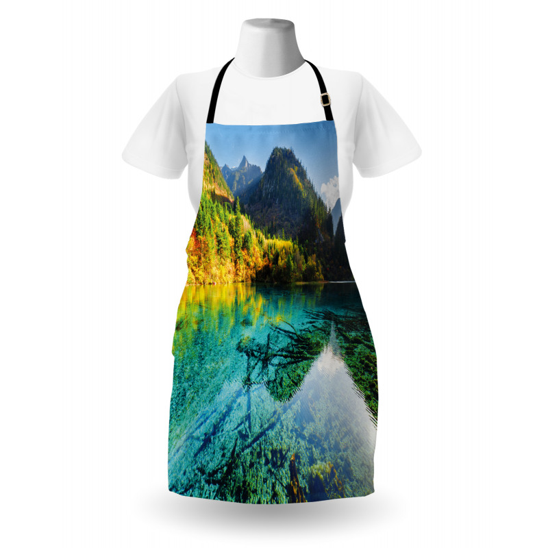 Idyllic Mountain Creek Apron