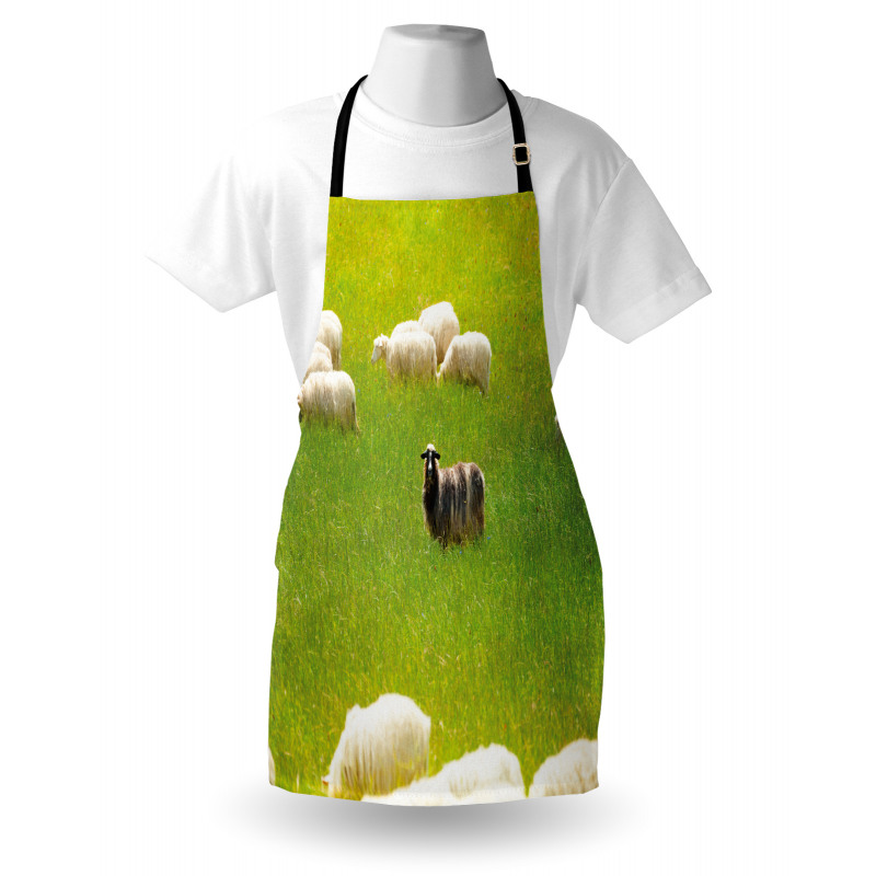 Black Sheep White Goats Apron