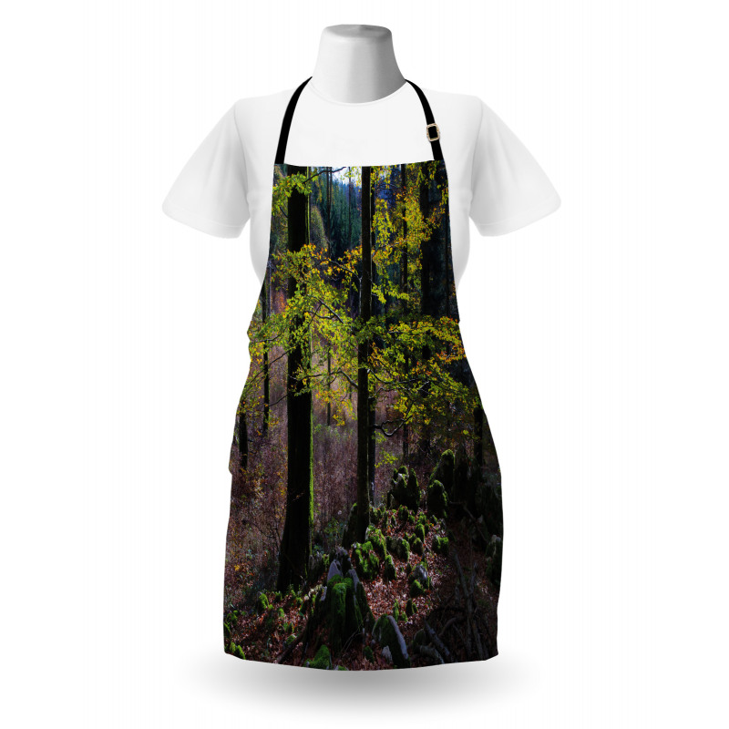 Trees Autumn Wilderness Apron