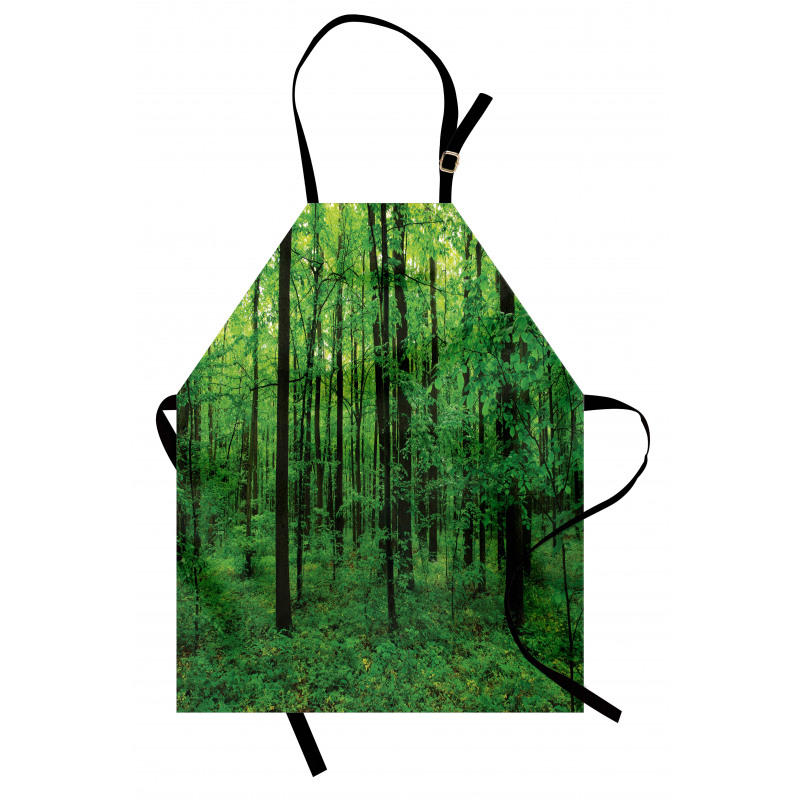 Spring Forest Bush Rural Apron