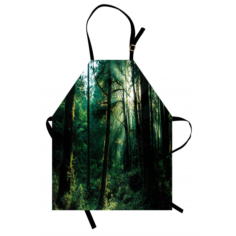 Sunset in Woods Trees Apron