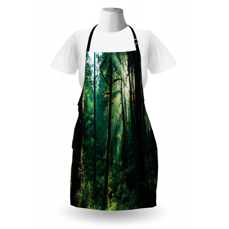 Sunset in Woods Trees Apron