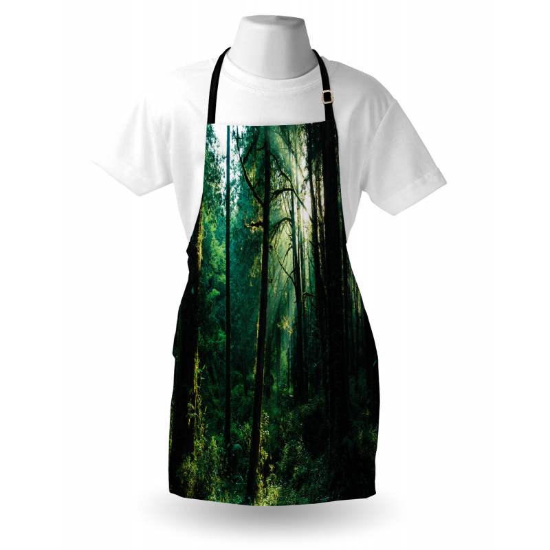 Sunset in Woods Trees Apron