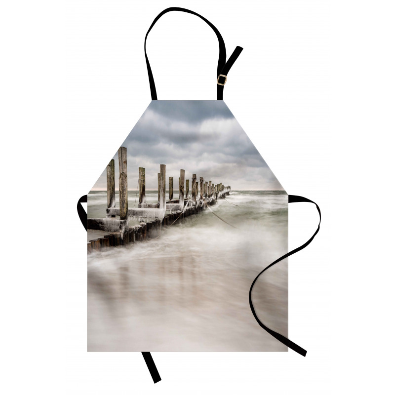 Groyne Zingst Germany Apron