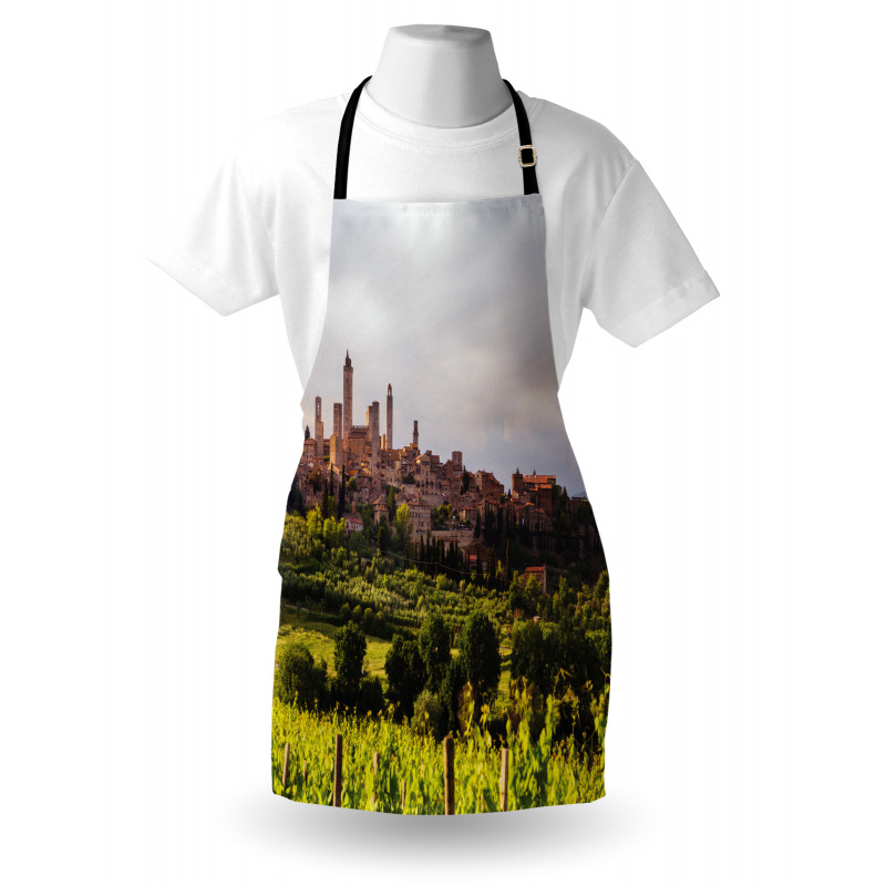 Medieval City in Italy Apron