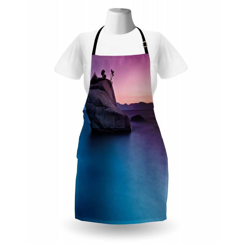 Bonsai Rock Lake Tahoe Apron