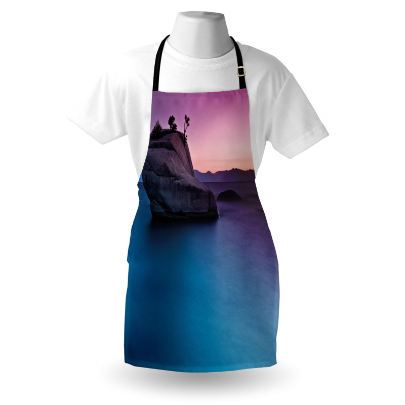 Bonsai Rock Lake Tahoe Apron