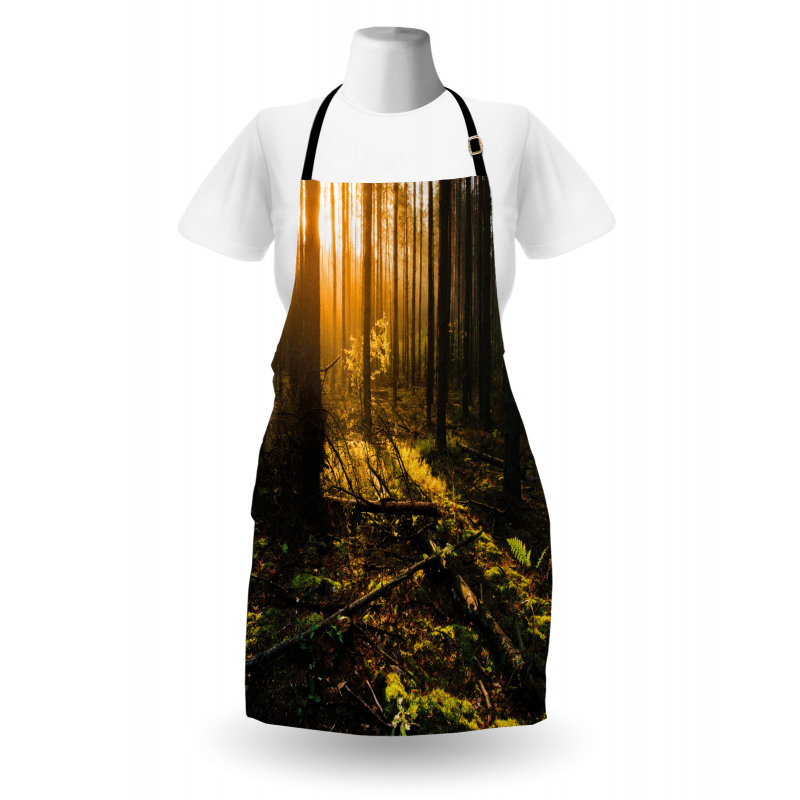 Misty Morning Sun Rays Apron