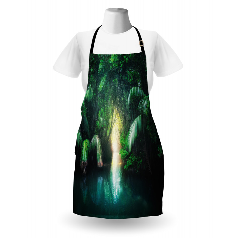 Mangrove Rainforest Lake Apron