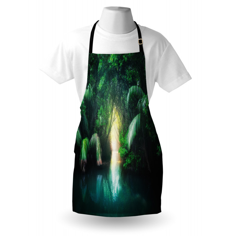 Mangrove Rainforest Lake Apron