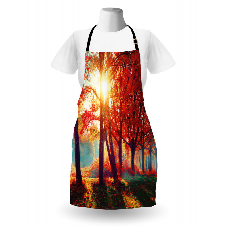 Foggy Autumnal Park Scenic Apron