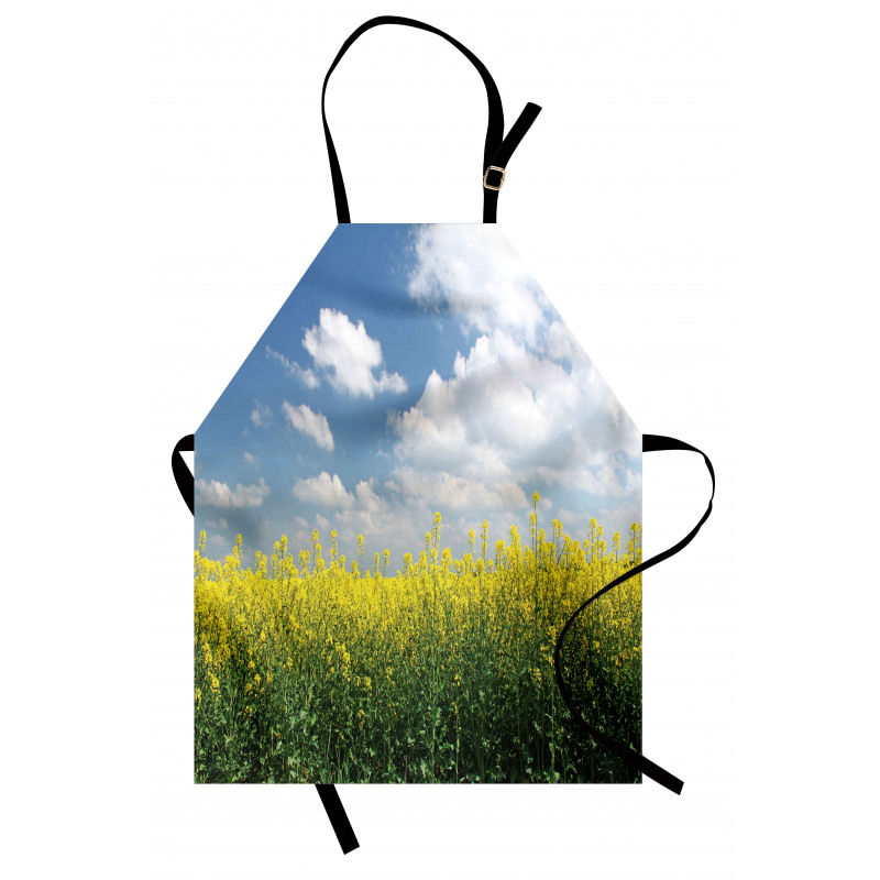 Rapeseed Field Germany Apron