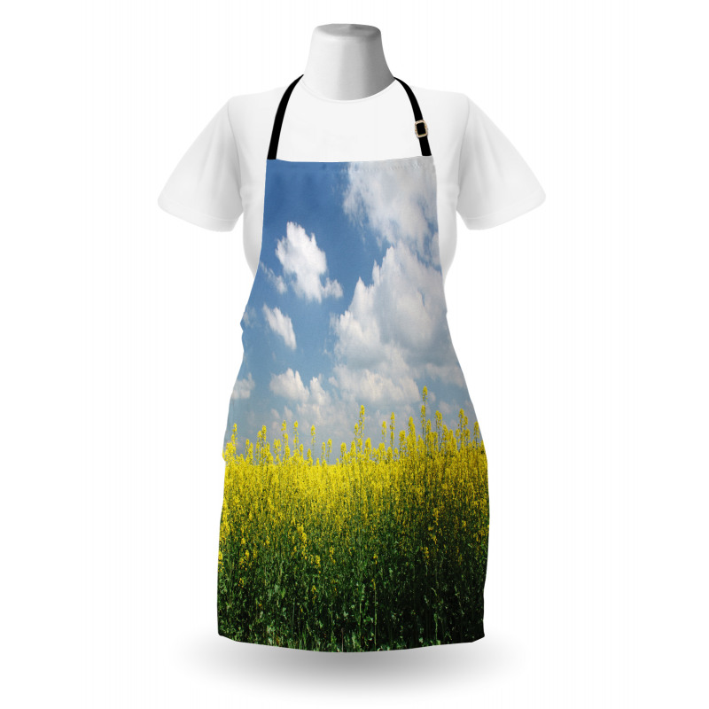 Rapeseed Field Germany Apron