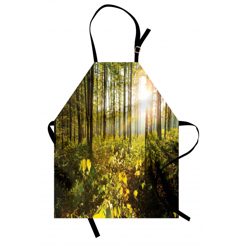 Sun Rays Woods Foliage Apron