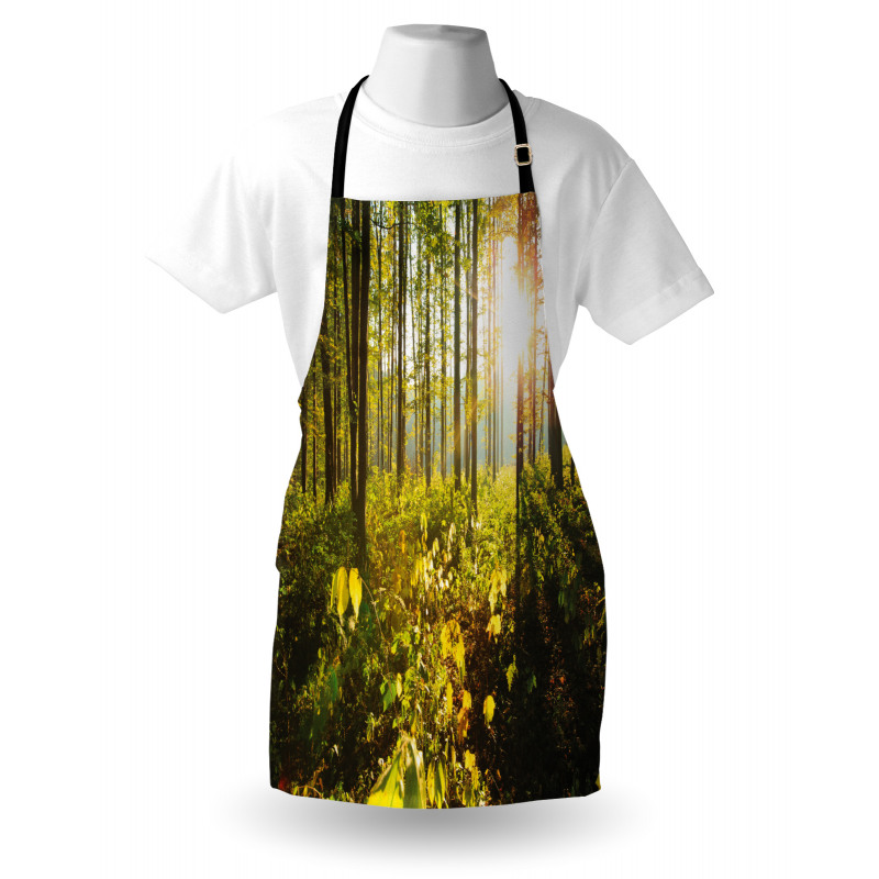 Sun Rays Woods Foliage Apron