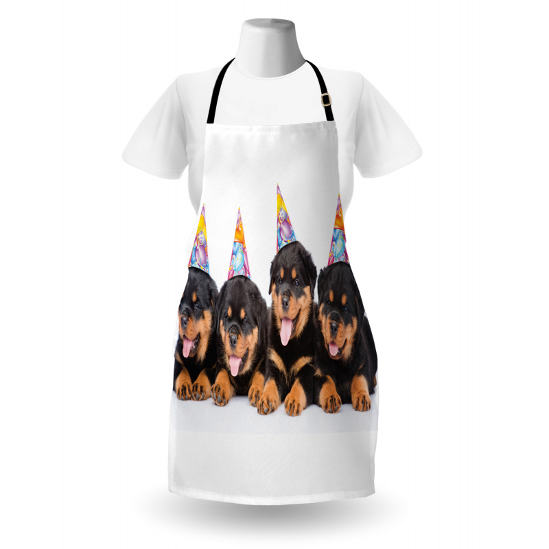 Birthday Dogs Hats Apron