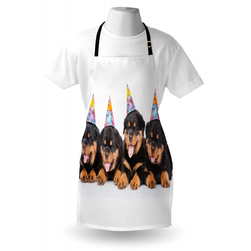 Birthday Dogs Hats Apron