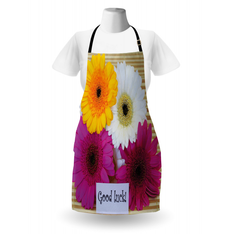 Luck Colorful Apron