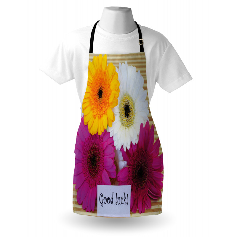 Luck Colorful Apron