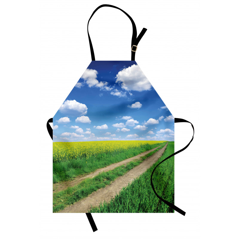 Rapeseeds Field Apron